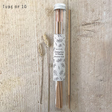 Load image into Gallery viewer, East of India Incense Sticks Set of 10 in Glass Tube