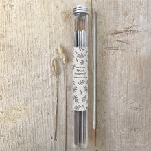 Load image into Gallery viewer, East of India Incense Sticks Set of 10 in Glass Tube