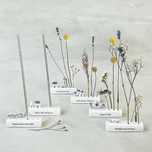 Load image into Gallery viewer, East of India Porcelain Incense/Flower Holder &#39;Great adventures await&#39;