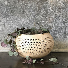 Load image into Gallery viewer, Cream Coconut Bowl - Spot Pattern Sustainable and Eco Friendly
