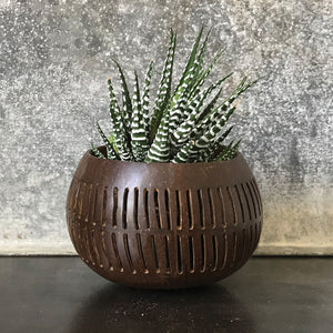 Dark Coconut Bowl - Vertical Lines