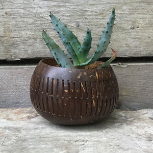 Dark Coconut Bowl - Vertical Lines