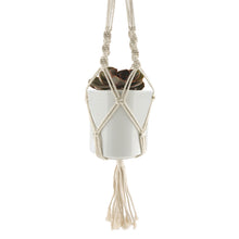 Load image into Gallery viewer, Cream or Black Macrame Plant Pot Holder with Ceramic Pot
