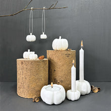 Load image into Gallery viewer, East of India White Porcelain Pumpkin Decorations
