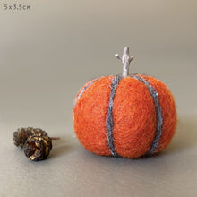 Load image into Gallery viewer, East of India Needle Felt Pumpkin Decorations Eco