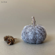 Load image into Gallery viewer, East of India Needle Felt Pumpkin Decorations Eco