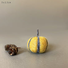 Load image into Gallery viewer, East of India Needle Felt Pumpkin Decorations Eco