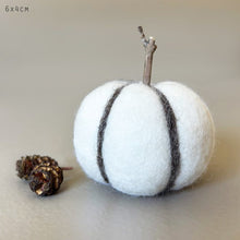 Load image into Gallery viewer, East of India Needle Felt Pumpkin Decorations Eco