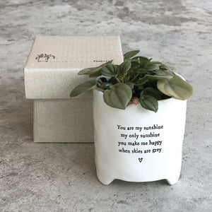 East of India Porcelain Planter in Gift Box 'You are my sunshine.......'