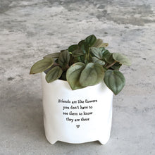 Load image into Gallery viewer, East of India Porcelain Planter in Gift Box &#39;Friends are like flowers .....&#39;