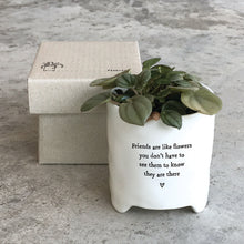 Load image into Gallery viewer, East of India Porcelain Planter in Gift Box &#39;Friends are like flowers .....&#39;