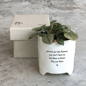 East of India Porcelain Planter in Gift Box 'Friends are like flowers .....'