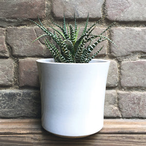 Stylish White Porcelain Plant Pot 13cm