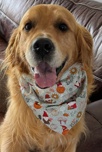 Lewis & Irene Snuggle Season Pumpkin Gnome Dog Bandana