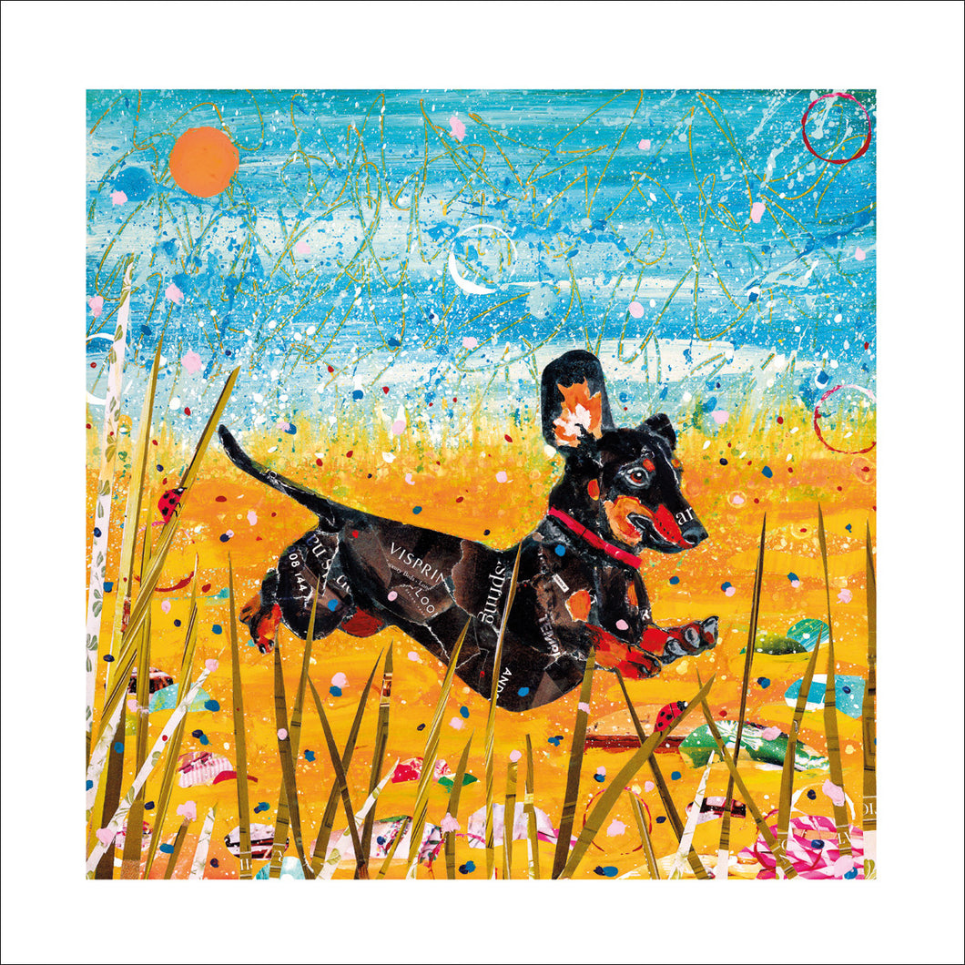Recycled Greetings Cards - Adam James Severn 'Dash' Dachshund