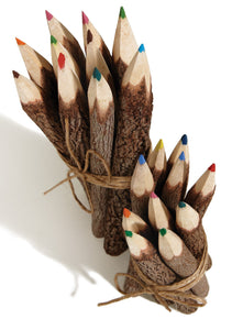 Set of 10 Fairtrade Twig Colouring Pencils