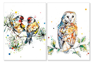 Eco Friendly Card Company Mini Notelets 8 pack Birds