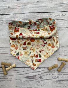 Lewis & Irene Snuggle Season Pumpkin Gnome Dog Bandana