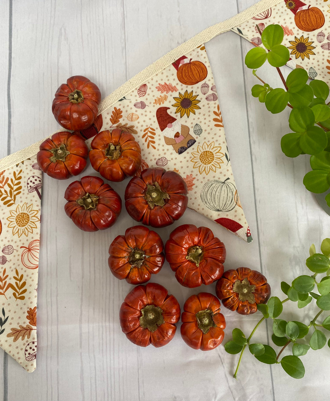 Set of 10 Mini Dried Pumpkins