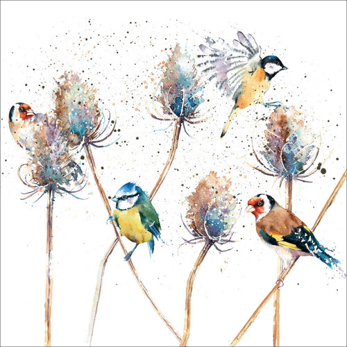 Eco Friendly Card Co Recycled Greetings Cards - Birds and Teasels Rachel Toll