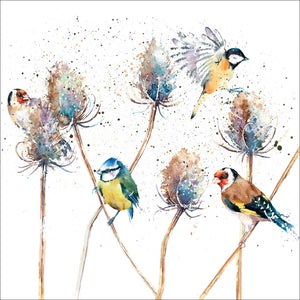 Eco Friendly Card Co Recycled Greetings Cards - Birds and Teasels Rachel Toll