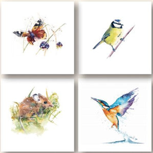 Eco Friendly Card Company 8 Pack Recycled Art Notelets Rachel Toll