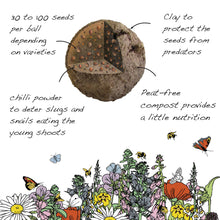 Load image into Gallery viewer, Seedball Wildflower Grab Bag - Wildlife Mix