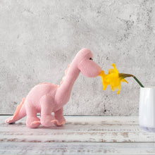Load image into Gallery viewer, Knitted Organic Cotton Pink Diplodocus Dinosaur Baby Rattle