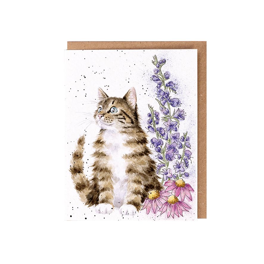 Wrendale seed Card Cat - 'Whiskers and Wild Flowers'