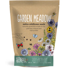 Load image into Gallery viewer, Seedball Wildflower Grab Bag - Garden Meadow