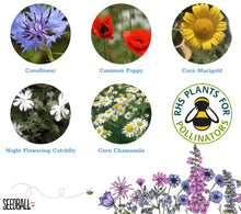 Load image into Gallery viewer, Seedball Wildflower Grab Bag - Annuals Mix