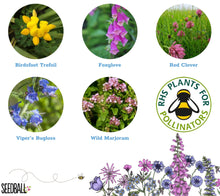 Load image into Gallery viewer, Seedball Wildflower Grab Bag - Bee Mix