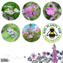 Load image into Gallery viewer, Seedball Wildflower Grab Bag - Butterfly Mix