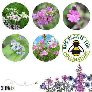 Seedball Wildflower Grab Bag - Butterfly Mix