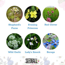 Load image into Gallery viewer, Seedball Wildflower Grab Bag - Edible Flowers