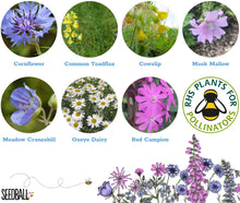 Load image into Gallery viewer, Seedball Wildflower Grab Bag - Garden Meadow