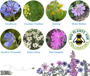 Seedball Wildflower Grab Bag - Garden Meadow