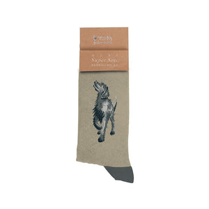 Black Labrador Mens Socks Wrendale Design with Free Gift Bag
