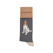 Load image into Gallery viewer, Spaniel Mens Socks Wrendale Design with Free Gift Bag