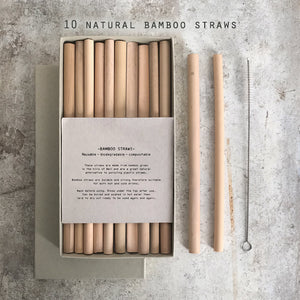 East of India Box of 10 Bamboo Drinking Straws